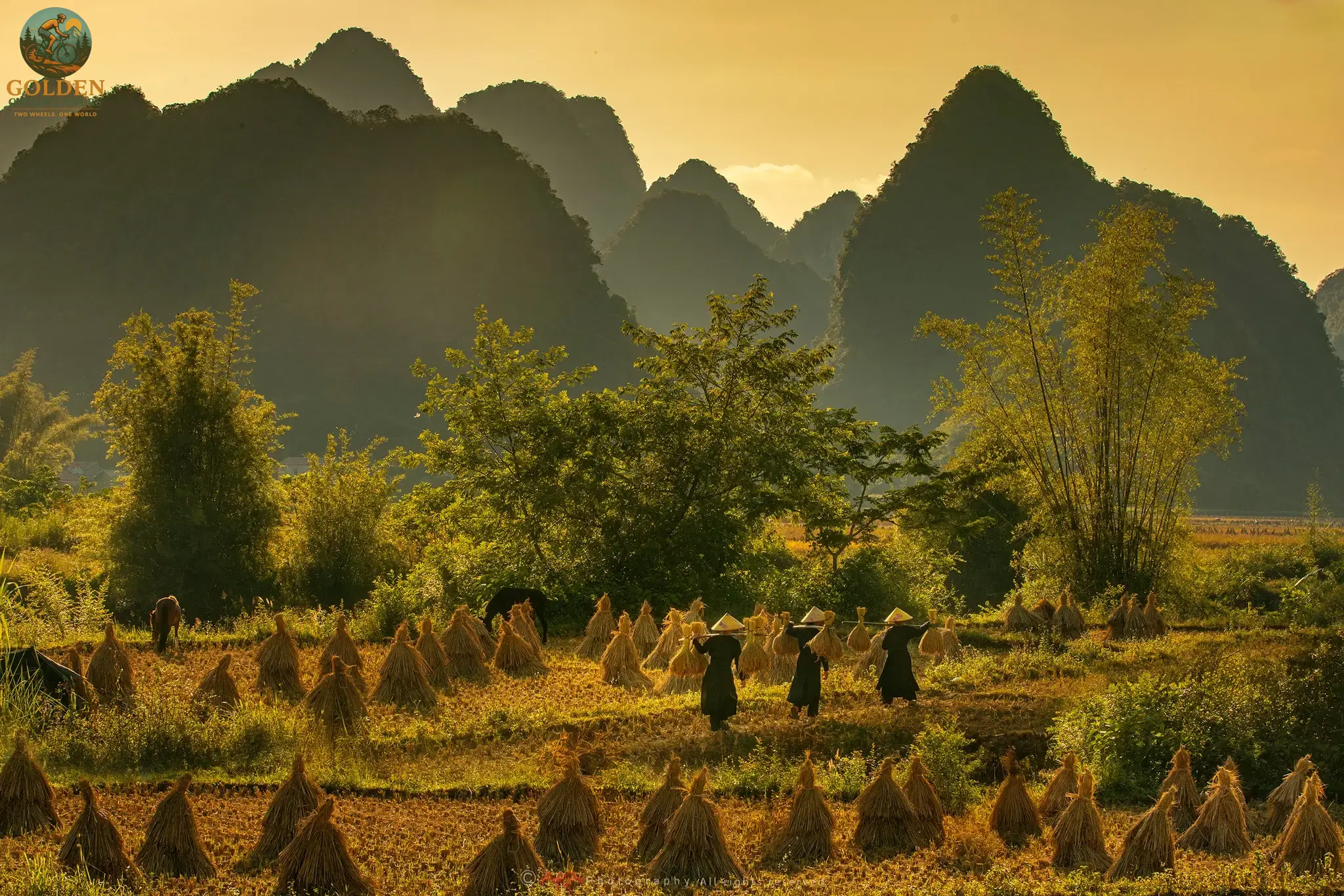 3 Days Ninh Binh Cycling Tour & Hồ Đồng Chương Camping